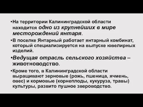 На территории Калининградской области находится одно из крупнейших в мире