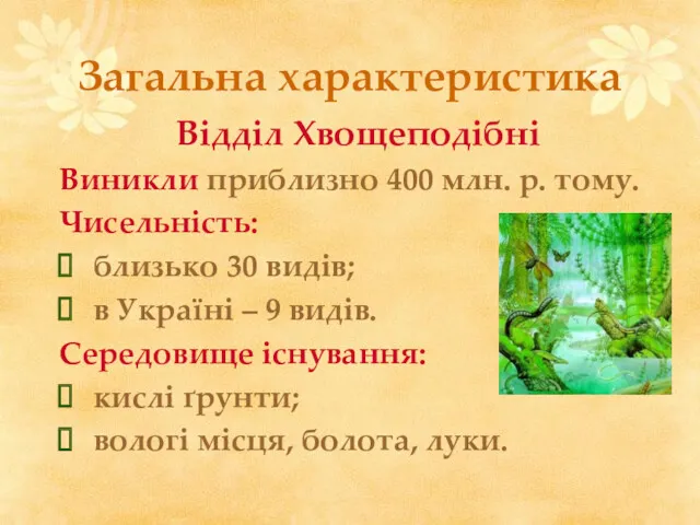 Загальна характеристика Відділ Хвощеподібні Виникли приблизно 400 млн. р. тому.