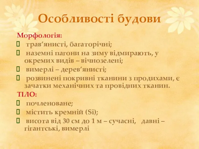 Особливості будови Морфологія: трав’янисті, багаторічні; наземні пагони на зиму відмирають,