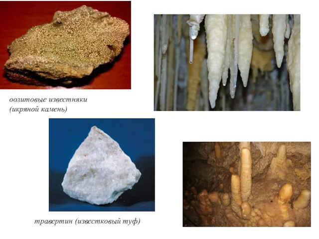 оолитовые известняки (икряной камень) травертин (известковый туф)