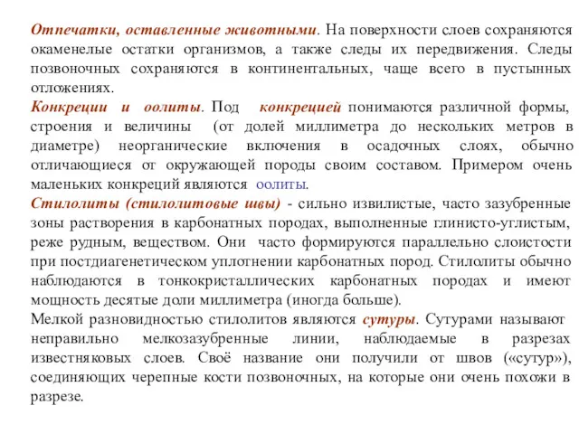 Отпечатки, оставленные животными. На поверхности слоев сохраняются окаменелые остатки организмов,