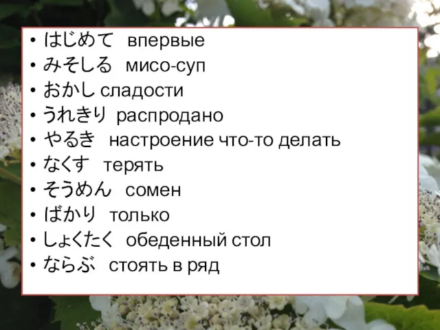 はじめて впервые みそしる мисо-суп おかし сладости うれきり распродано やるき настроение