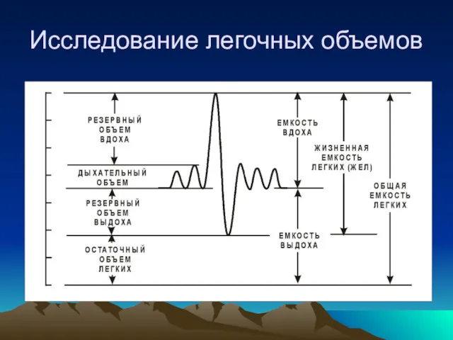 Исследование легочных объемов