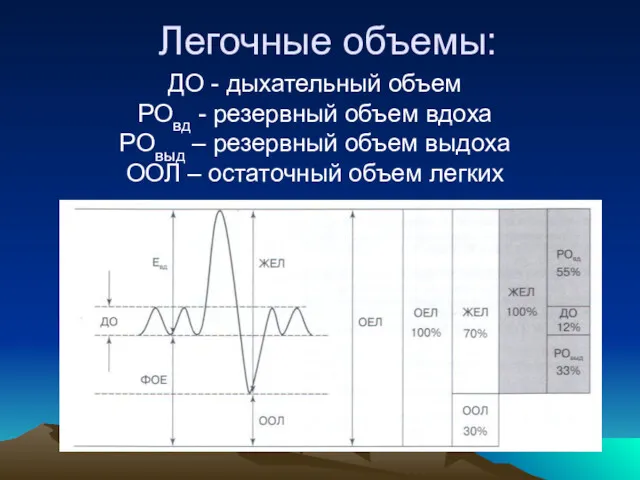 Легочные объемы: ДО - дыхательный объем РОвд - резервный объем