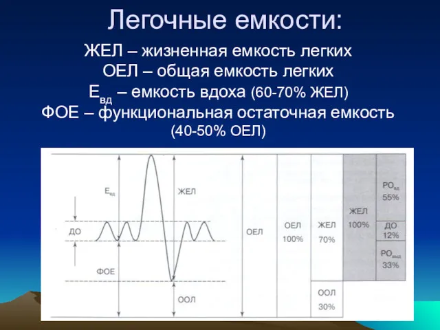 Легочные емкости: ЖЕЛ – жизненная емкость легких ОЕЛ – общая