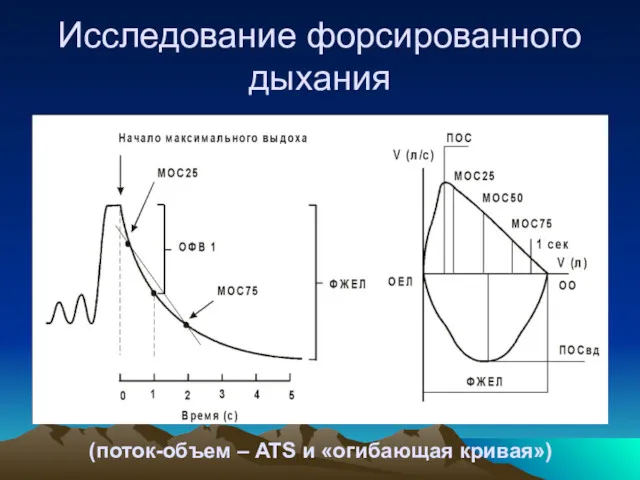 Исследование форсированного дыхания (поток-объем – ATS и «огибающая кривая»)