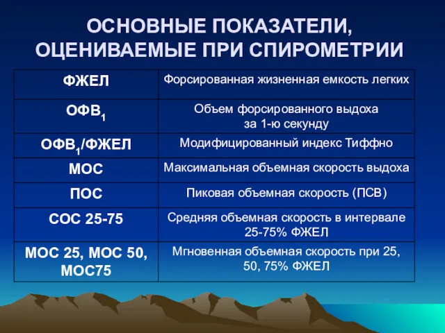 ОСНОВНЫЕ ПОКАЗАТЕЛИ, ОЦЕНИВАЕМЫЕ ПРИ СПИРОМЕТРИИ