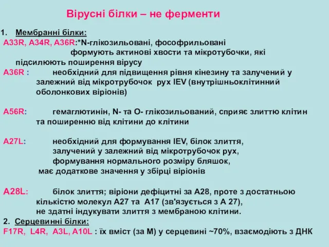 Вірусні білки – не ферменти Мембранні білки: A33R, A34R, A36R:*N-глікозильовані, фософрильовані формують актинові