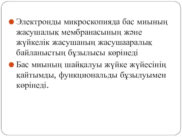 Электронды микроскопияда бас миының жасушалық мембранасының және жүйкелік жасушаның жасушааралық