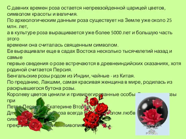 С давних времен роза остается непревзойденной царицей цветов, символом красоты