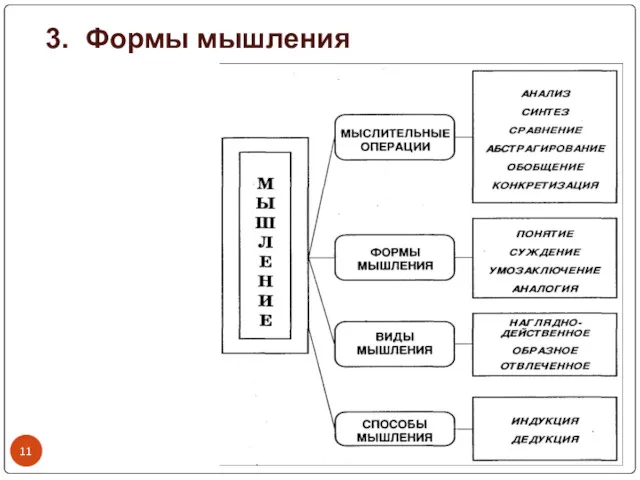 3. Формы мышления