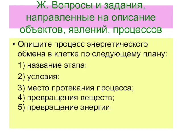 Ж. Вопросы и задания, направленные на описание объектов, явлений, процессов