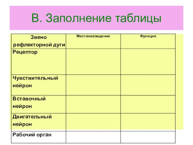 В. Заполнение таблицы