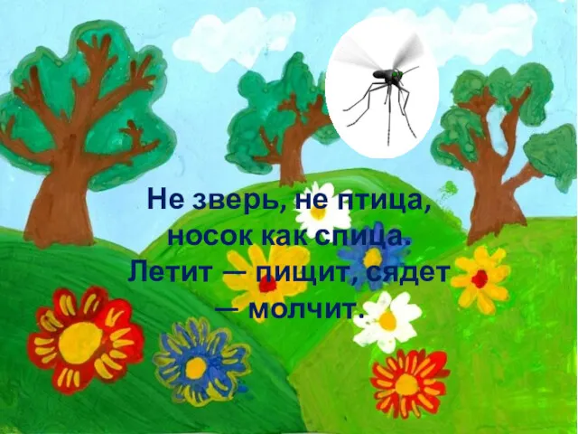 Не зверь, не птица, носок как спица. Летит — пищит, сядет — молчит.