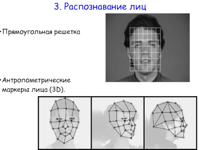 Прямоугольная решетка 3. Распознавание лиц Антропометрические маркеры лица (3D).