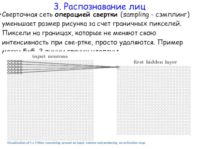 Сверточная сеть операцией свертки (sampling - сэмплинг) уменьшает размер рисунка