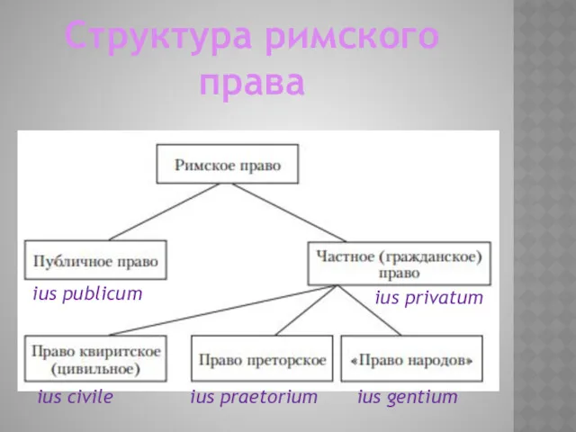 Структура римского права ius publicum ius privatum ius civile ius praetorium ius gentium