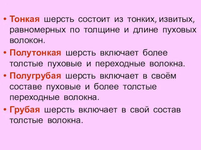 Тонкая шерсть состоит из тонких, извитых, равномерных по толщине и длине пуховых волокон.