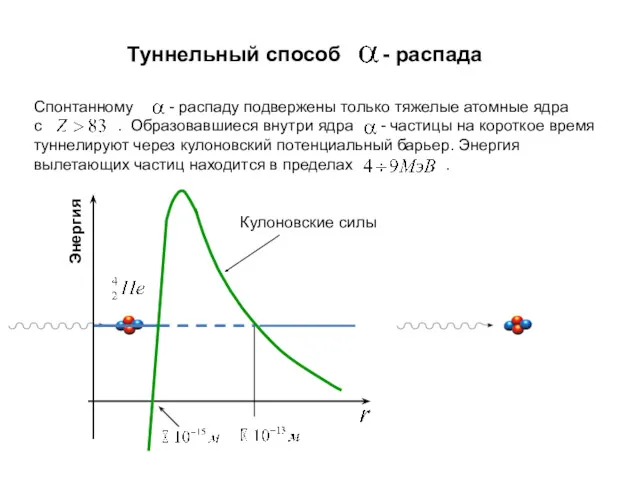 Спонтанному - распаду подвержены только тяжелые атомные ядра с .