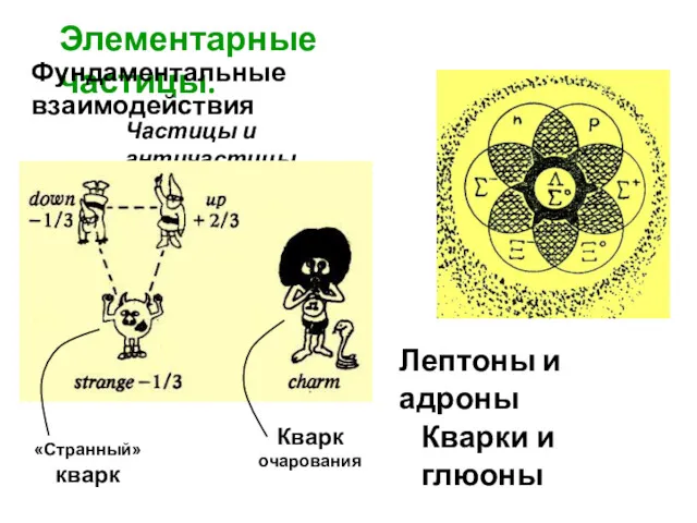 Элементарные частицы. Частицы и античастицы Лептоны и адроны Кварки и глюоны Фундаментальные взаимодействия