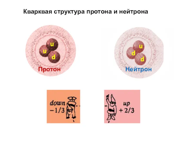 Кварквая структура протона и нейтрона