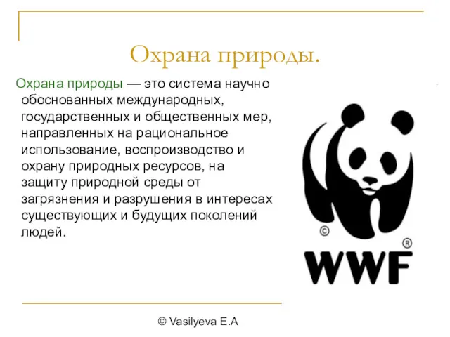 © Vasilyeva E.A Охрана природы. Охрана природы — это система