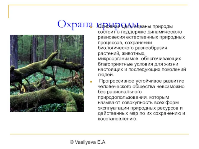 © Vasilyeva E.A Охрана природы. Основная цель охраны природы состоит