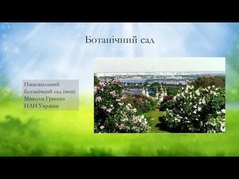 Ботанічний сад Національний ботанічний сад імені Миколи Гришка НАН України