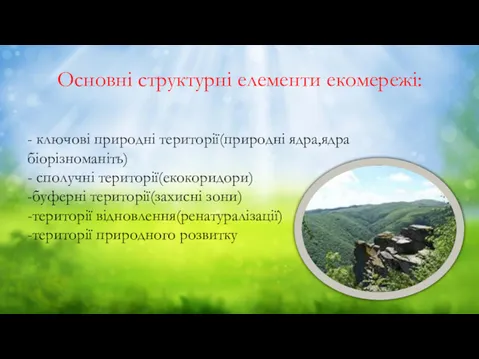 Основні структурні елементи екомережі: - ключові природні території(природні ядра,ядра біорізноманіть)