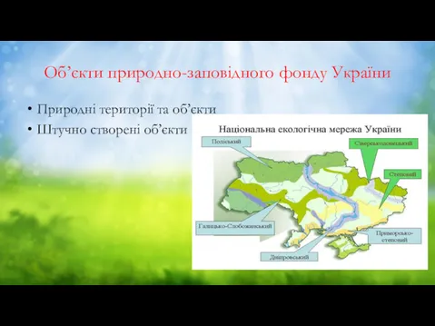 Об’єкти природно-заповідного фонду України Природні території та об’єкти Штучно створені об’єкти