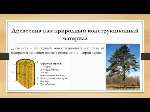 Древесина как природный конструкционный материал Древесина – природный конструкционный материал