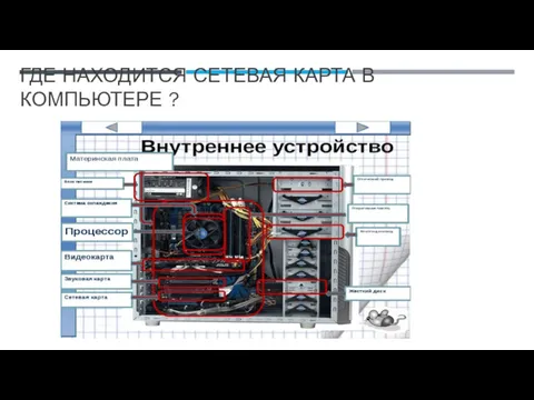 ГДЕ НАХОДИТСЯ СЕТЕВАЯ КАРТА В КОМПЬЮТЕРЕ ?