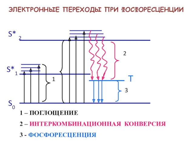 S0 S*1 S* 2 1 2 3 ЭЛЕКТРОННЫЕ ПЕРЕХОДЫ ПРИ