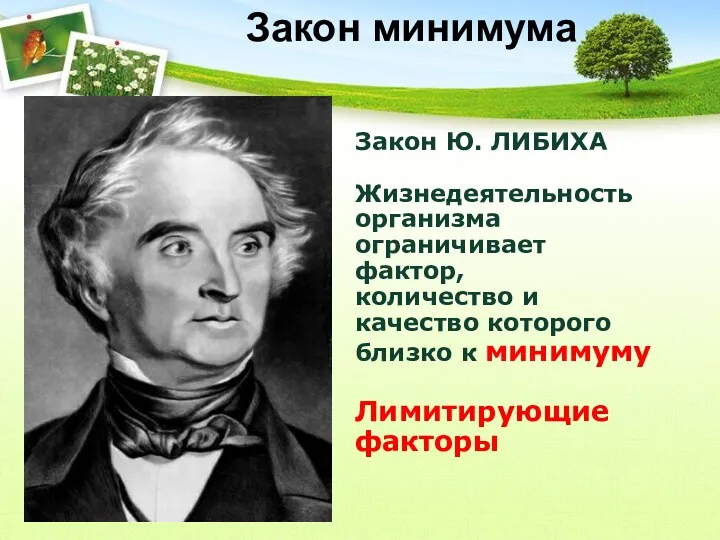 Закон Ю. ЛИБИХА Жизнедеятельность организма ограничивает фактор, количество и качество