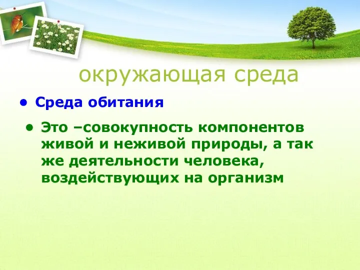 окружающая среда Среда обитания Это –совокупность компонентов живой и неживой