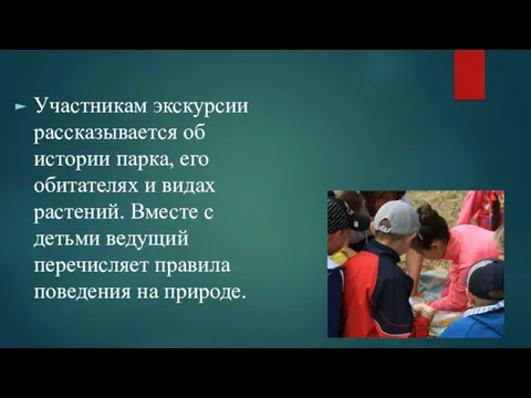 Участникам экскурсии рассказывается об истории парка, его обитателях и видах