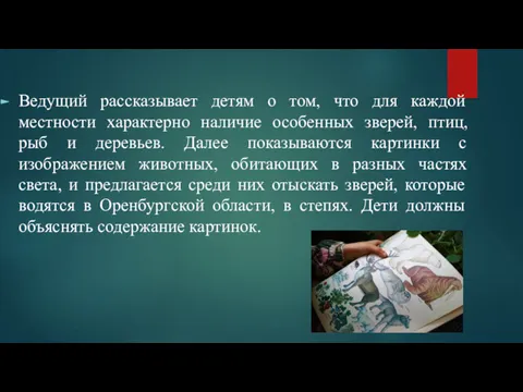 Ведущий рассказывает детям о том, что для каждой местности характерно