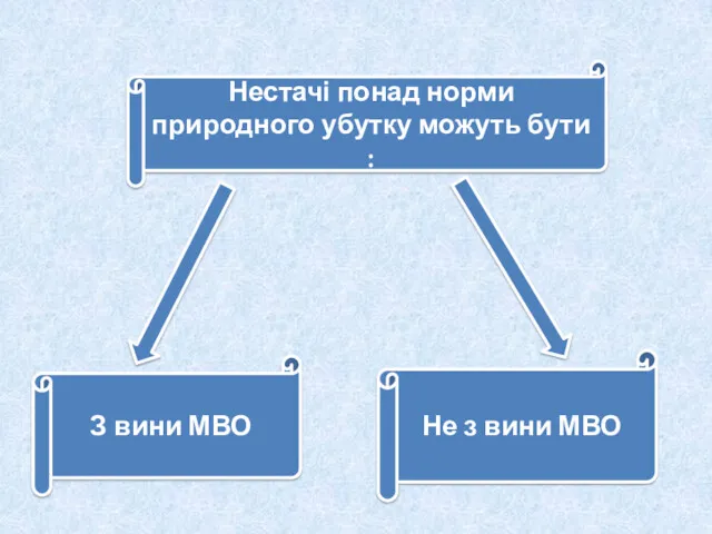 Нестачі понад норми природного убутку можуть бути : З вини МВО Не з вини МВО