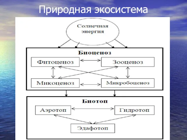 Природная экосистема