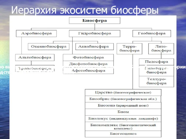 Иерархия экосистем биосферы Популяция - это некоторое единство вида, которое