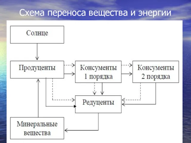 Схема переноса вещества и энергии