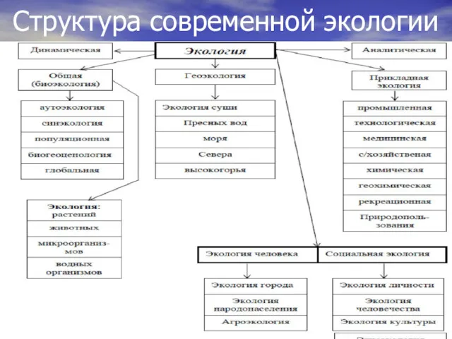 Структура современной экологии Э.А.Паркс «Гигиена как наука преследует великую и