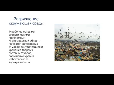Загрязнение окружающей среды Наиболее острыми экологическими проблемами Нижегородской области являются загрязнение атмосферы, утилизация