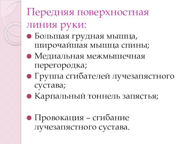 Передняя поверхностная линия руки: Большая грудная мышца, широчайшая мышца спины;