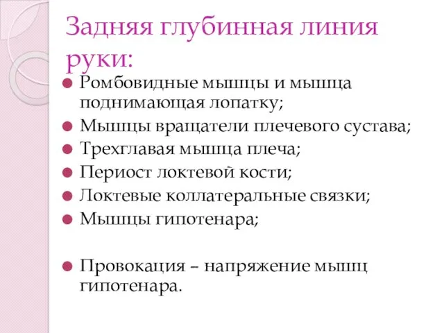 Задняя глубинная линия руки: Ромбовидные мышцы и мышца поднимающая лопатку;