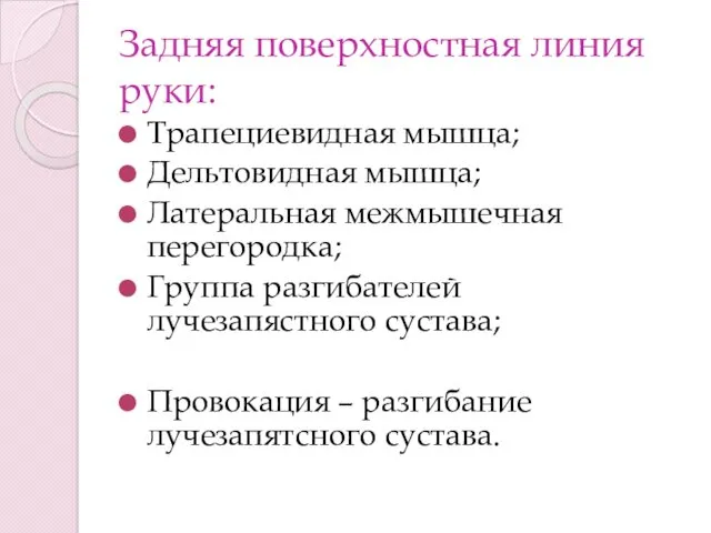 Задняя поверхностная линия руки: Трапециевидная мышца; Дельтовидная мышца; Латеральная межмышечная