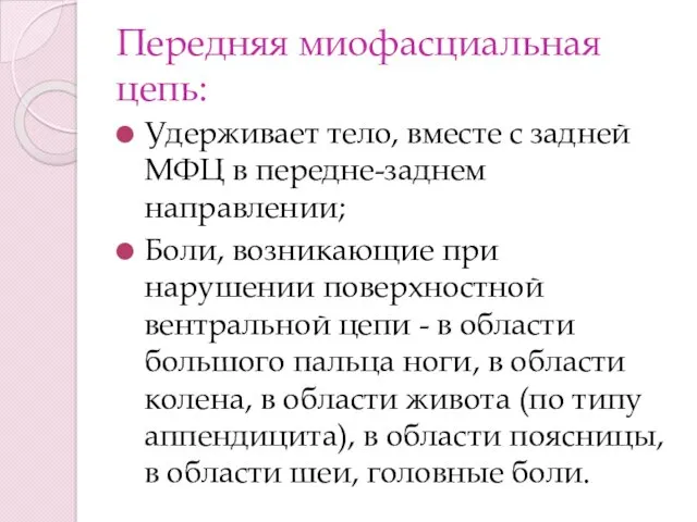 Передняя миофасциальная цепь: Удерживает тело, вместе с задней МФЦ в