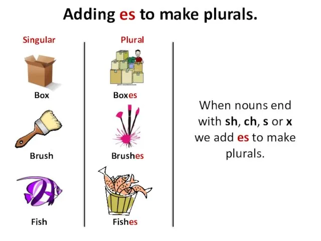 Adding es to make plurals. Box Brush Fish Boxes Brushes