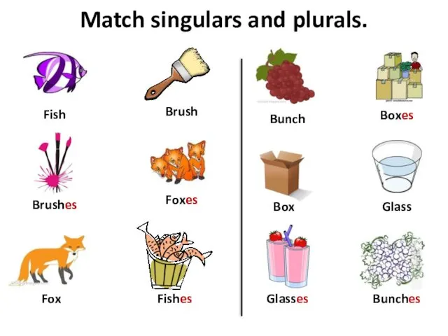 Match singulars and plurals. Box Brush Fish Boxes Brushes Fishes Foxes Fox Bunch Bunches Glasses Glass