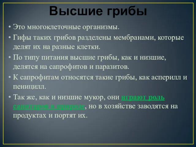 Высшие грибы Это многоклеточные организмы. Гифы таких грибов разделены мембранами,